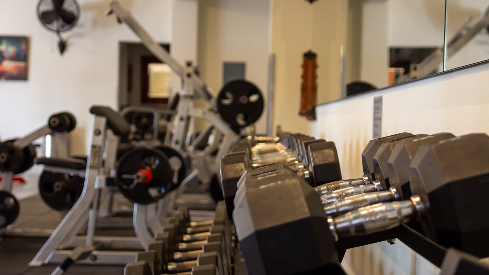 Dumbbells at Baja Body Shop, photographed by Julie St-Louis